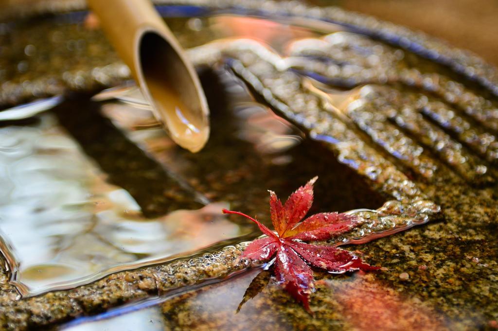 Ryokan Sugimoto Мацумото Экстерьер фото